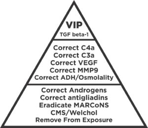 12 steps-surviving-mold-protocol, image of pyramid