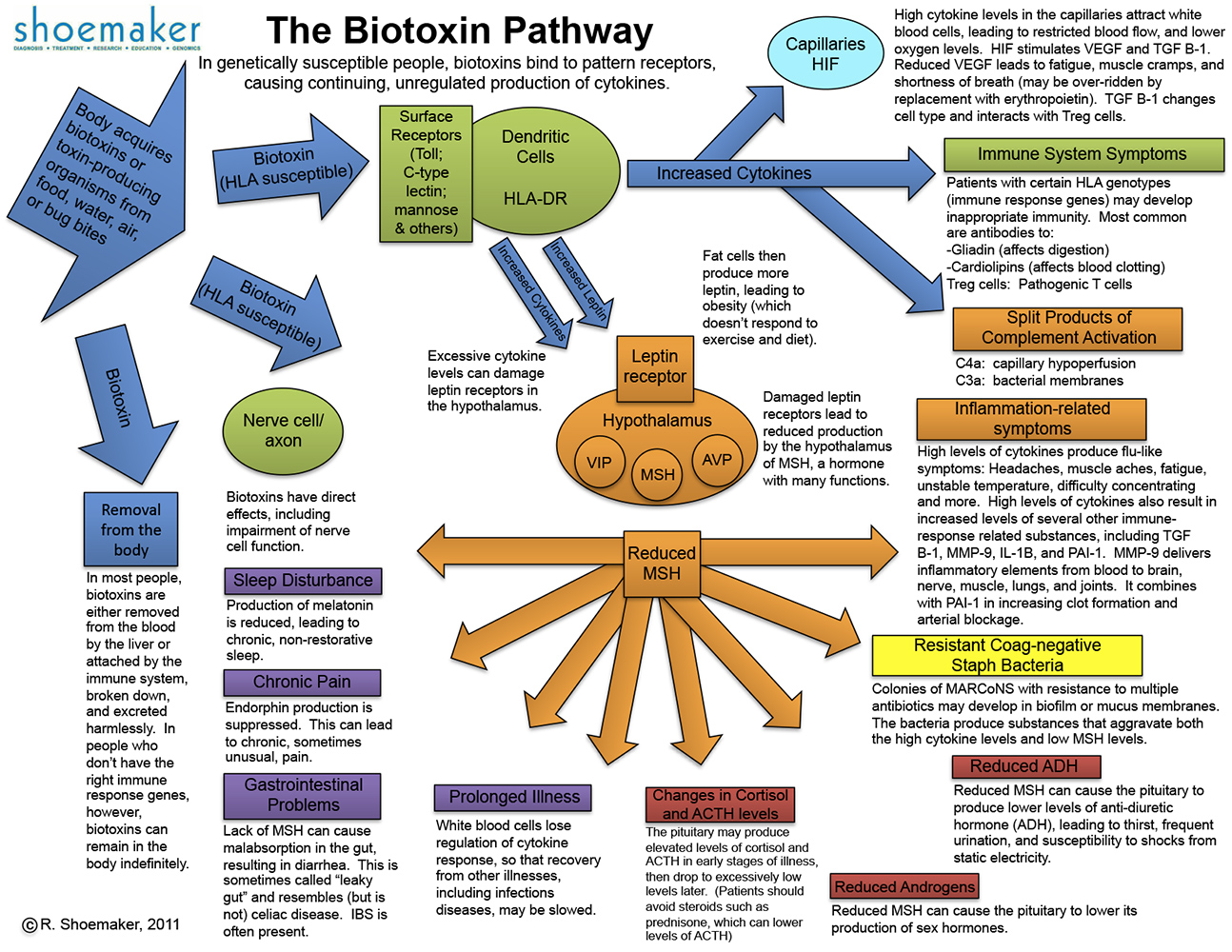 Dr. Ritchie Shoemaker, Biotoxin-Pathway