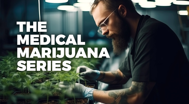 The Medical Marijuana Series