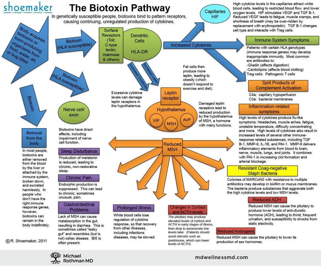 Dr. Ritchie Shoemaker, Biotoxin-Pathway